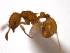  ( - 08COSTA-1128)  @13 [ ] Unspecified (default): All Rights Reserved  Unspecified Unspecified