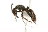  ( - 08COSTA-1139)  @13 [ ] Unspecified (default): All Rights Reserved  Unspecified Unspecified