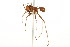  ( - 08COSTA-1192)  @14 [ ] Unspecified (default): All Rights Reserved  Unspecified Unspecified
