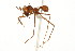  ( - 08COSTA-1211)  @13 [ ] Unspecified (default): All Rights Reserved  Unspecified Unspecified