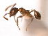  ( - 08COSTA-1244)  @13 [ ] Unspecified (default): All Rights Reserved  Unspecified Unspecified