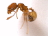  ( - 08COSTA-1253)  @14 [ ] Unspecified (default): All Rights Reserved  Unspecified Unspecified