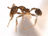  ( - 08COSTA-1273)  @13 [ ] Unspecified (default): All Rights Reserved  Unspecified Unspecified