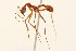  ( - 08COSTA-1511)  @14 [ ] Unspecified (default): All Rights Reserved  Unspecified Unspecified
