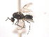  (Azteca MAS004 - 08COSTA-1527)  @12 [ ] Unspecified (default): All Rights Reserved  Unspecified Unspecified