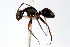  ( - 08COSTA-1627)  @14 [ ] Unspecified (default): All Rights Reserved  Unspecified Unspecified