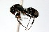  ( - 08COSTA-1693)  @13 [ ] Unspecified (default): All Rights Reserved  Unspecified Unspecified