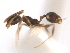  ( - 08COSTA-1713)  @13 [ ] Unspecified (default): All Rights Reserved  Unspecified Unspecified