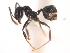  ( - 08COSTA-1742)  @13 [ ] Unspecified (default): All Rights Reserved  Unspecified Unspecified