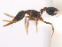  ( - 08COSTA-1833)  @12 [ ] Unspecified (default): All Rights Reserved  Unspecified Unspecified