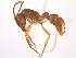  ( - 08COSTA-1948)  @12 [ ] Unspecified (default): All Rights Reserved  Unspecified Unspecified
