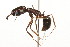  ( - 08COSTA-1960)  @14 [ ] Unspecified (default): All Rights Reserved  Unspecified Unspecified