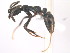  ( - 08COSTA-1961)  @14 [ ] Unspecified (default): All Rights Reserved  Unspecified Unspecified