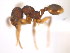  ( - 08COSTA-2054)  @12 [ ] Unspecified (default): All Rights Reserved  Unspecified Unspecified