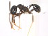  ( - 08COSTA-2063)  @12 [ ] Unspecified (default): All Rights Reserved  Unspecified Unspecified