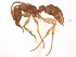  ( - 08COSTA-2098)  @11 [ ] Unspecified (default): All Rights Reserved  Unspecified Unspecified
