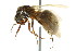 ( - 08COSTA-2157)  @13 [ ] Unspecified (default): All Rights Reserved  Unspecified Unspecified