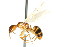  ( - 08COSTA-2161)  @13 [ ] Unspecified (default): All Rights Reserved  Unspecified Unspecified