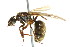  ( - 08COSTA-2162)  @13 [ ] Unspecified (default): All Rights Reserved  Unspecified Unspecified