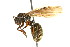  ( - 08COSTA-2167)  @13 [ ] Unspecified (default): All Rights Reserved  Unspecified Unspecified