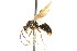  ( - 08COSTA-2171)  @13 [ ] Unspecified (default): All Rights Reserved  Unspecified Unspecified