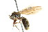  ( - 08COSTA-2174)  @13 [ ] Unspecified (default): All Rights Reserved  Unspecified Unspecified