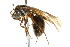  ( - 08COSTA-2180)  @13 [ ] Unspecified (default): All Rights Reserved  Unspecified Unspecified