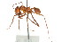  ( - 08COSTA-2211)  @14 [ ] Unspecified (default): All Rights Reserved  Unspecified Unspecified