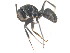  ( - 08COSTA-2217)  @13 [ ] Unspecified (default): All Rights Reserved  Unspecified Unspecified