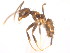  ( - 08COSTA-2293)  @12 [ ] Unspecified (default): All Rights Reserved  Unspecified Unspecified