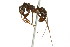  ( - 08COSTA-2377)  @13 [ ] Unspecified (default): All Rights Reserved  Unspecified Unspecified