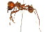  ( - 08COSTA-2421)  @13 [ ] Unspecified (default): All Rights Reserved  Unspecified Unspecified