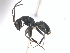  ( - 10COSTA-0008)  @13 [ ] Unspecified (default): All Rights Reserved  Unspecified Unspecified