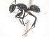  ( - 10COSTA-0024)  @11 [ ] Unspecified (default): All Rights Reserved  Unspecified Unspecified