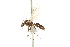  ( - 10COSTA-0025)  @11 [ ] Unspecified (default): All Rights Reserved  Unspecified Unspecified