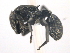  ( - 10COSTA-0065)  @13 [ ] Unspecified (default): All Rights Reserved  Unspecified Unspecified
