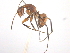  ( - 10COSTA-0084)  @13 [ ] Unspecified (default): All Rights Reserved  Unspecified Unspecified