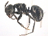  ( - 10COSTA-0100)  @14 [ ] Unspecified (default): All Rights Reserved  Unspecified Unspecified