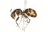  ( - 10COSTA-0204)  @13 [ ] Unspecified (default): All Rights Reserved  Unspecified Unspecified