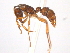  ( - 10COSTA-0213)  @13 [ ] Unspecified (default): All Rights Reserved  Unspecified Unspecified