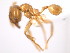  ( - 10COSTA-0829)  @12 [ ] Unspecified (default): All Rights Reserved  Unspecified Unspecified