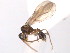  ( - 10COSTA-0960)  @13 [ ] Unspecified (default): All Rights Reserved  Unspecified Unspecified
