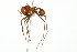  ( - 10COSTA-1007)  @14 [ ] Unspecified (default): All Rights Reserved  Unspecified Unspecified