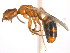  ( - 10COSTA-1028)  @15 [ ] Unspecified (default): All Rights Reserved  Unspecified Unspecified