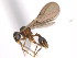  ( - 10COSTA-1145)  @13 [ ] Unspecified (default): All Rights Reserved  Unspecified Unspecified