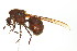  ( - 10COSTA-1198)  @14 [ ] Unspecified (default): All Rights Reserved  Unspecified Unspecified