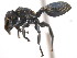  ( - 10COSTA-1210)  @14 [ ] Unspecified (default): All Rights Reserved  Unspecified Unspecified