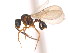  ( - 10COSTA-1300)  @14 [ ] Unspecified (default): All Rights Reserved  Unspecified Unspecified