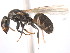 (Azteca MAS002 - 10COSTA-1326)  @14 [ ] Unspecified (default): All Rights Reserved  Unspecified Unspecified