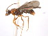  ( - 10COSTA-1333)  @13 [ ] Unspecified (default): All Rights Reserved  Unspecified Unspecified